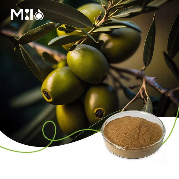 Hydroxytyrosol Powder
