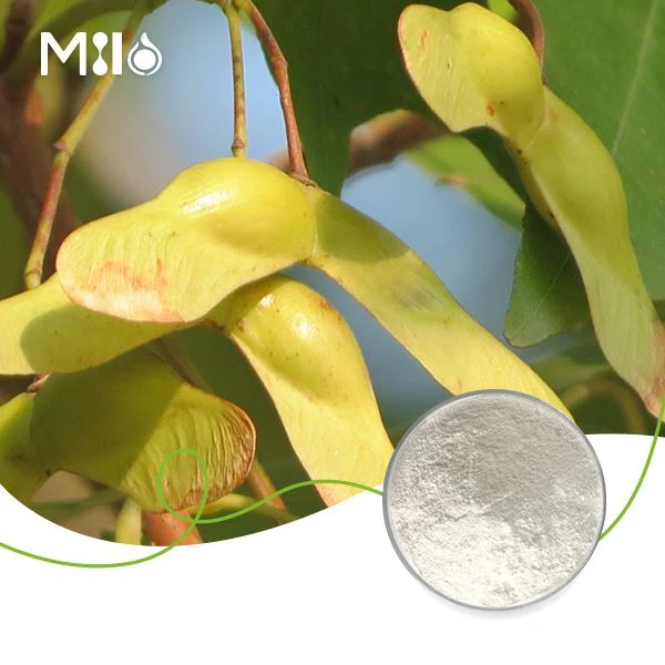 Nervonic Acid Powder